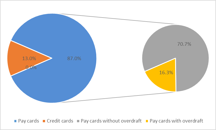Structure of pay cards and credit cards issued by the banking institutions by 1 July 2017